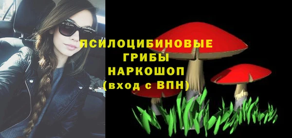 молекула духа Алзамай
