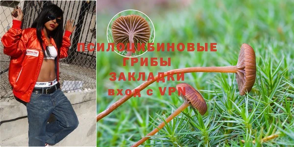 молекула духа Алзамай