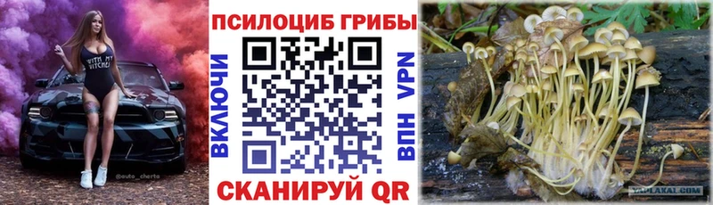 Галлюциногенные грибы мухоморы  Нолинск 